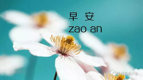 早安正能量勵志語錄,適合發朋友圈