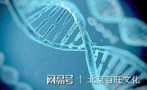 我為何放棄未來集市?為你真實講述7個原因