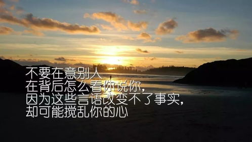 周日你好,美好的清晨從現(xiàn)在開始