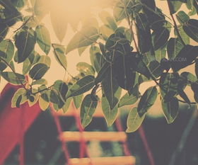 堅定信念的勵志文章