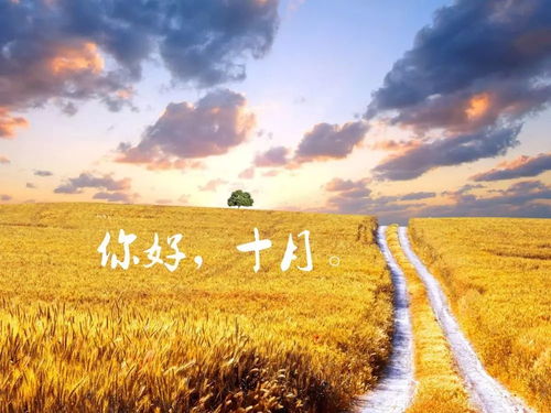 十月早安心語正能量 10月早安語錄勵志正能量激勵語句