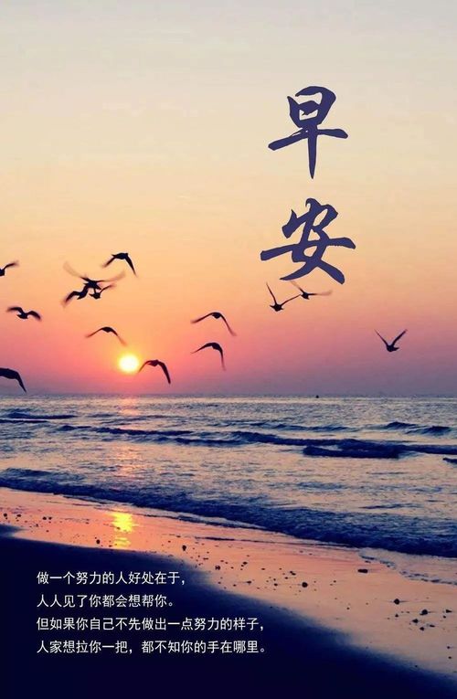 新的一天勵志早安圖片說說句子,正能量早安語錄