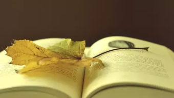 時(shí)光一直很溫柔,不妨就此到白頭