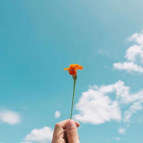 勵(lì)志陽(yáng)光的朋友圈短句,溫暖心扉,越看越喜歡