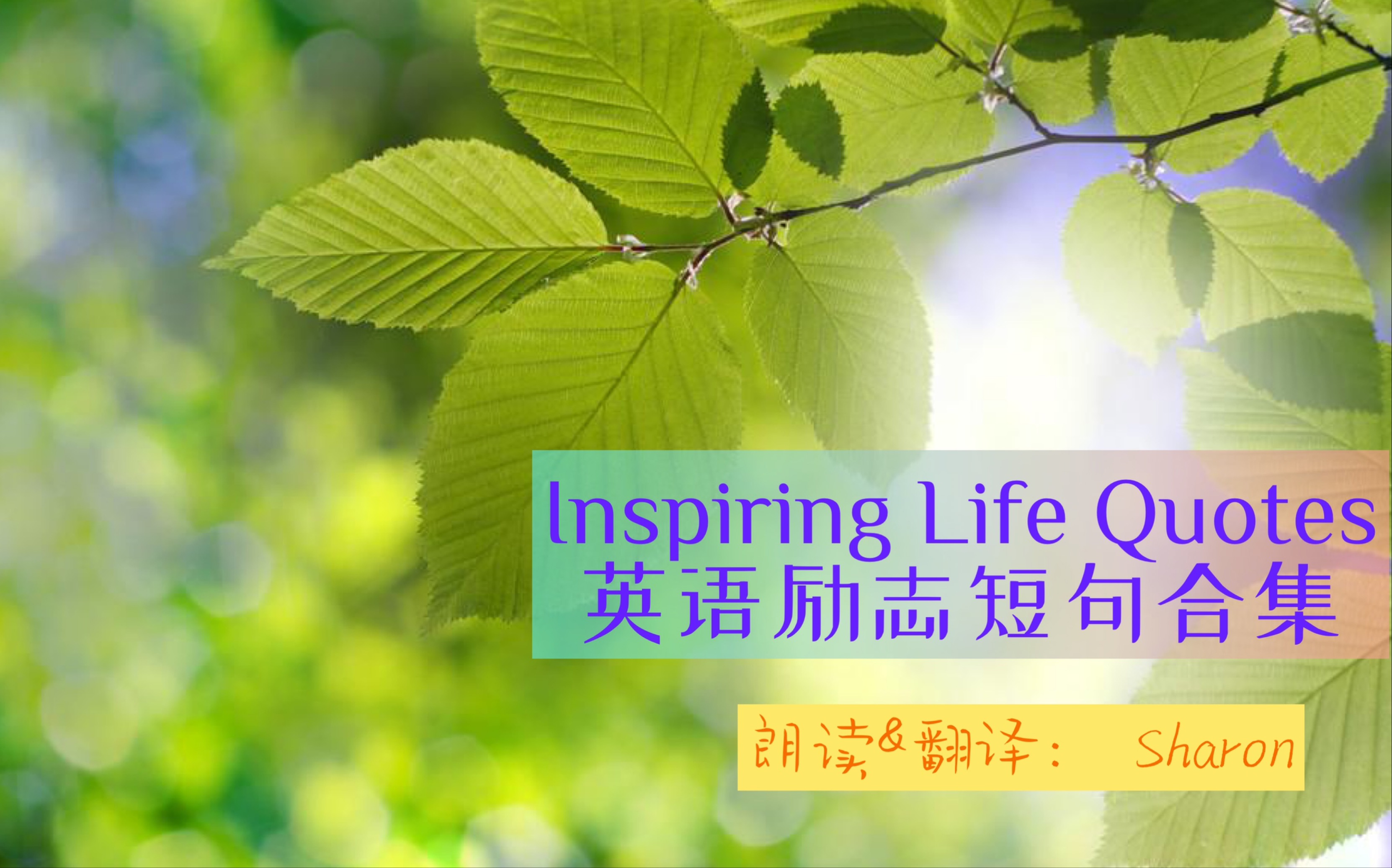 晨會勵志文章精選_適合公司晨會的勵志文章