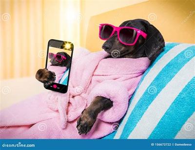 成功之路,勇往直前--勵志成功故事與H戲貪玩網游平臺