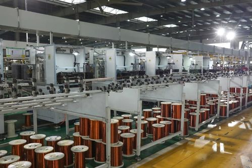 幾款厚道親民的車型，整體線條養(yǎng)眼，值得一路風(fēng)雨同行