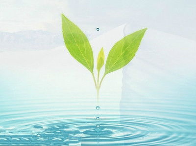 處事計(jì)策與勵(lì)志人生