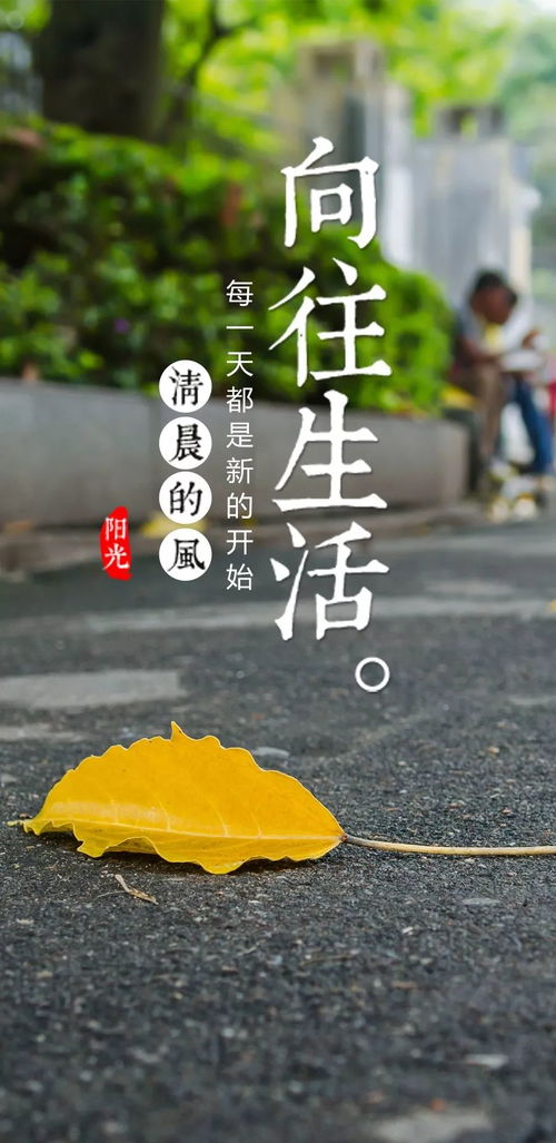 12月23日早安正能量 用勵(lì)志心情開(kāi)啟全新一天