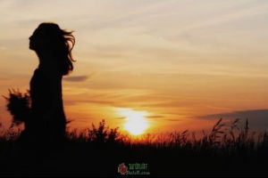 你當(dāng)像鳥，飛往你的山