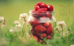 逆風而行 男人的擔當與力量